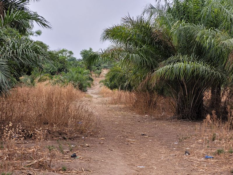 Togo Landschaft 286.jpg